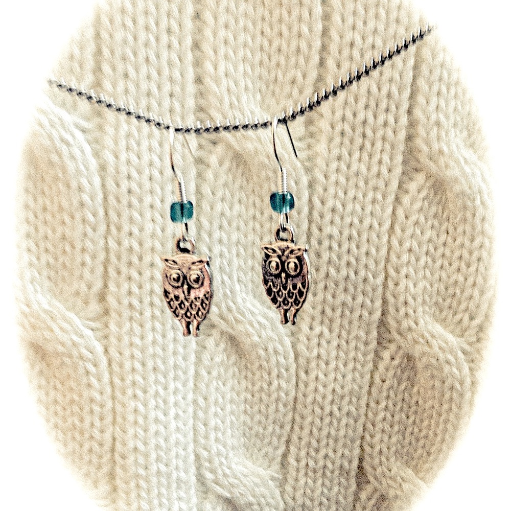 Beautiful Handmade owl earrings .